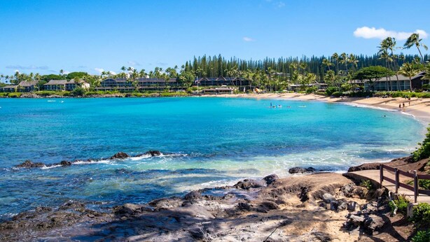 A coastal resort with a clear turquoise sea, sandy beach, and a backdrop of palm trees and resort buildings. - Napili Shores I-269 - Direct Oceanfront:  Summer and Fall Savings!  Free Activities! (Napili)