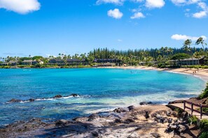 A coastal resort with a clear turquoise sea, sandy beach, and a backdrop of palm trees and resort buildings. - Napili Shores I-269 - Direct Oceanfront:  Summer and Fall Savings!  Free Activities! (Napili)