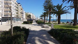 Une promenade en bord de mer bordée de bâtiments modernes, d’un sentier pavé et de palmiers.