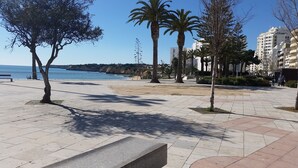 Une promenade en bord de mer, avec un sentier pavé, des palmiers et une vue sur la mer et les bâtiments en arrière-plan.