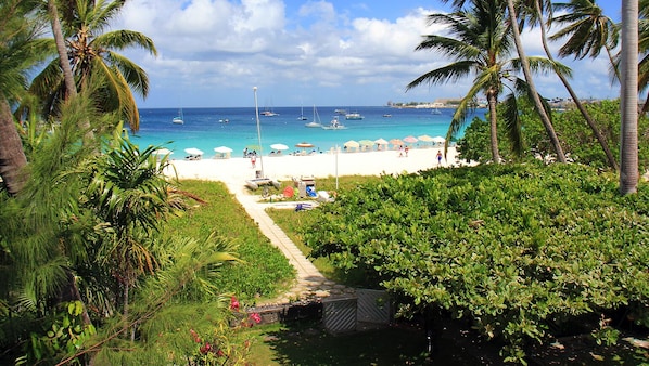 Une plage bordée de palmiers, un sentier menant à la plage et des bateaux sur l’eau.