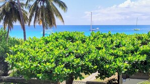 A lush green garden with palm trees and a view of the ocean with boats.