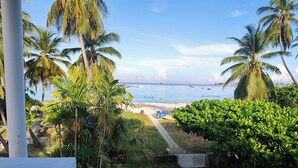 A view of a beach with palm trees and a pathway leading to the shore.