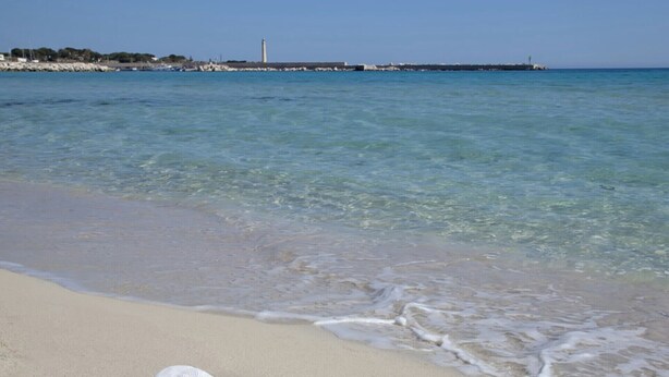 Une scène de plage avec un chapeau blanc et des étoiles de mer sur le sable.