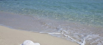 Flower Villa with large private pool and wellness for exclusive use
