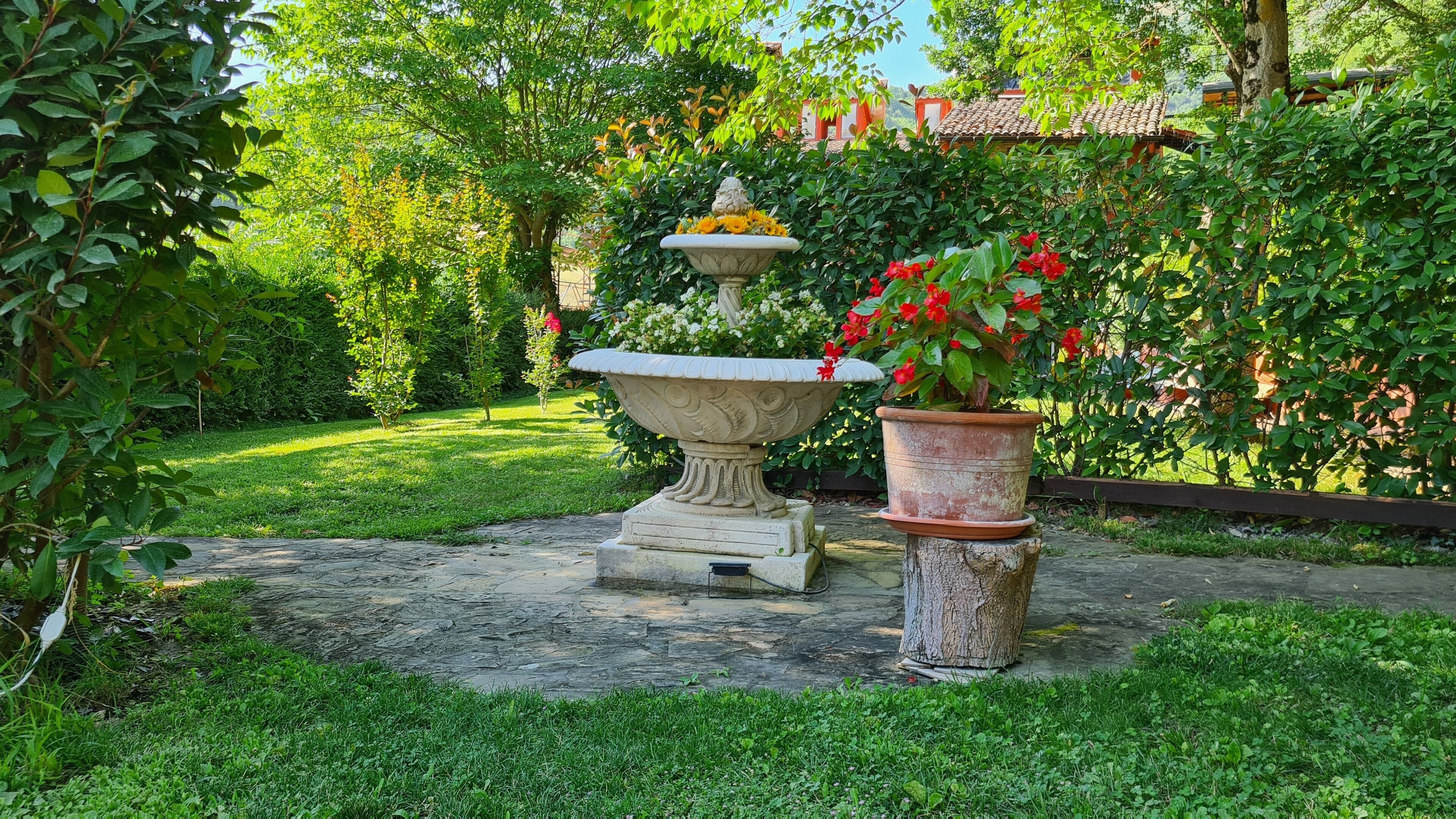 Un jardí amb una font de pedra i una planta en test.