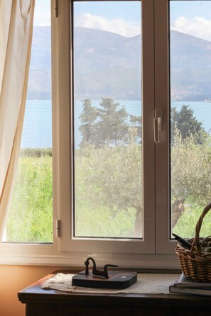 Vista desde la habitación