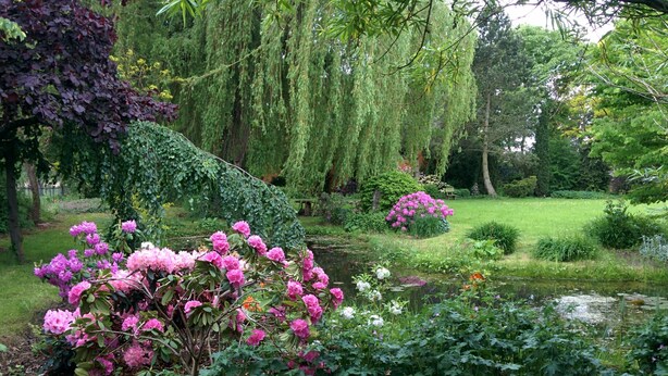 Un giardino con uno stagno, fiori rosa e un salice piangente.