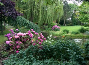 Un jardin avec un étang, des fleurs roses et un saule pleureur.