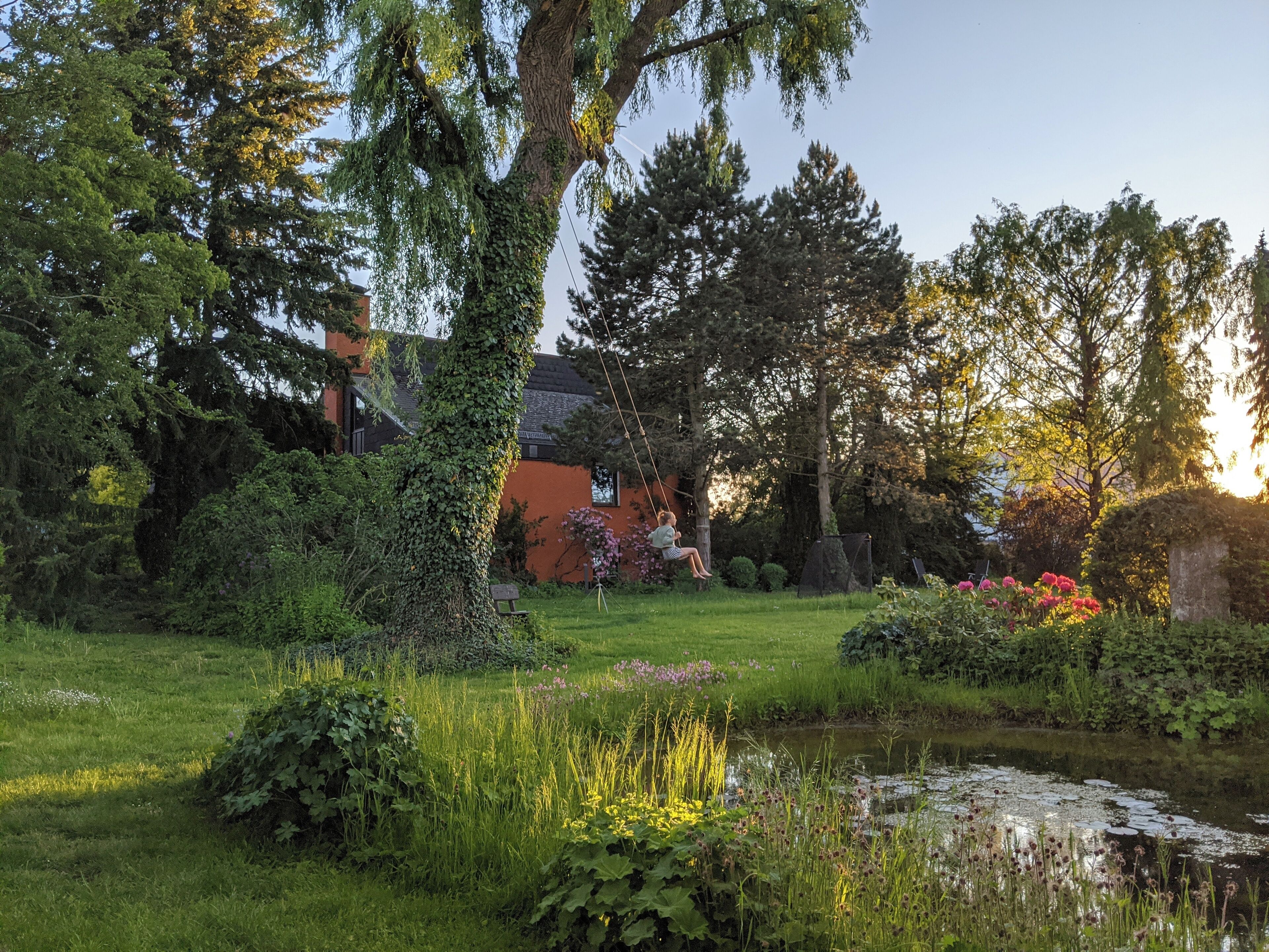Een tuin met een vijver, weelderige begroeiing en een huis op de achtergrond.