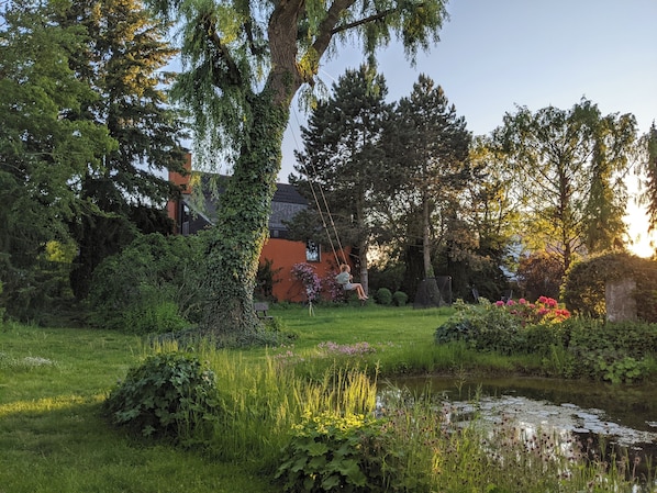 A garden with a pond, lush greenery, and a house in the background.