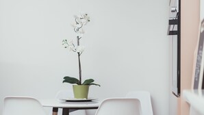 A dining area with a table, four chairs, and a potted orchid. - Feel in Sarajevo Apartment + Parking (Sarajevo)