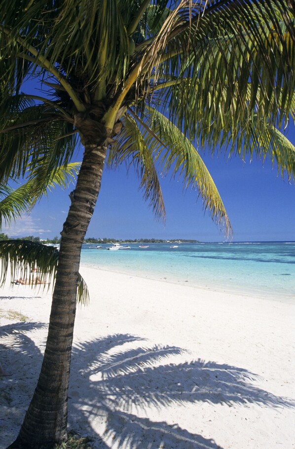 Plage à proximité