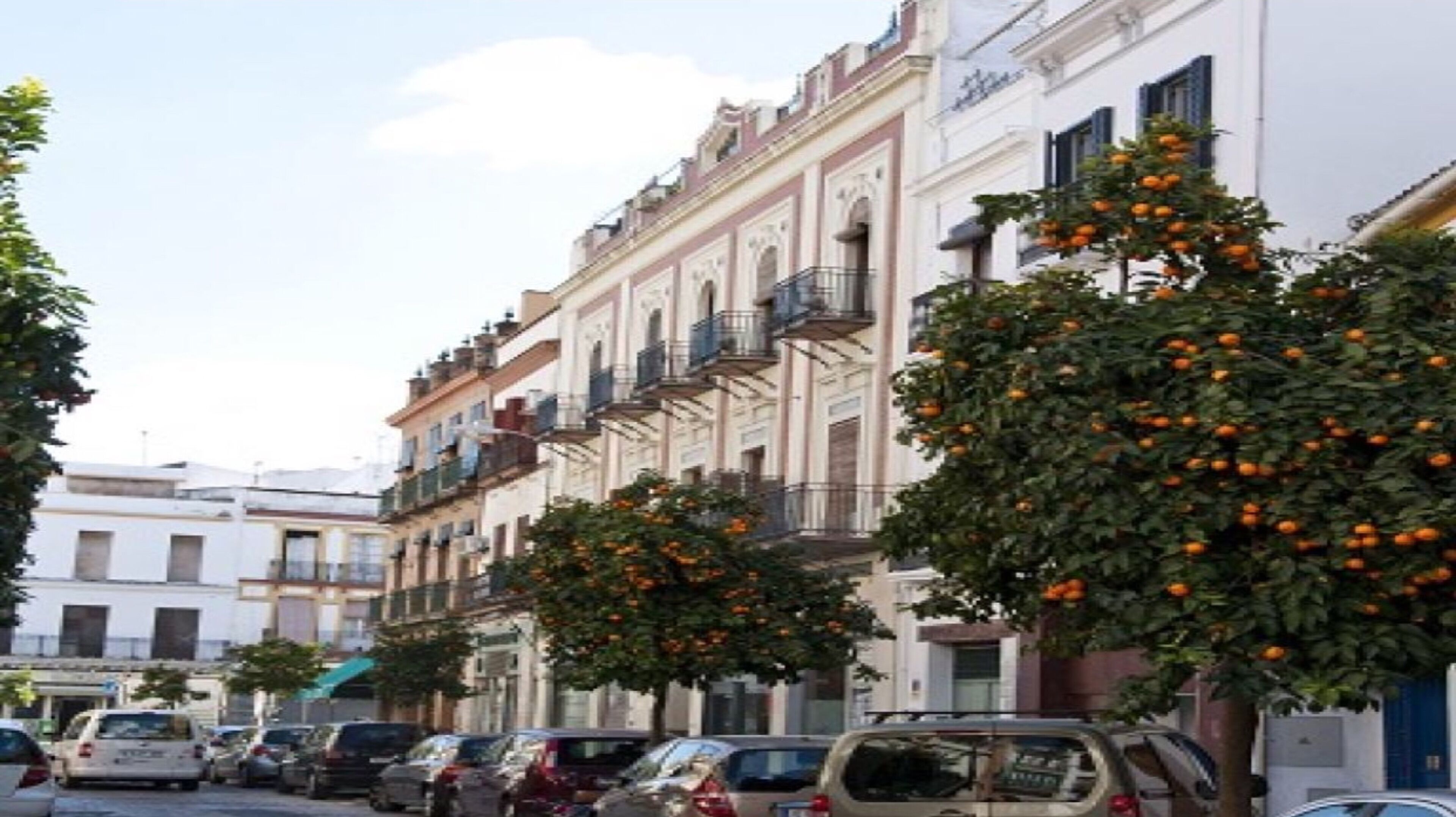 Una hilera de edificios de varios pisos con balcones, coches aparcados y naranjos al frente.