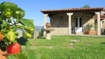 DĂ©tail de lâextĂ©rieur