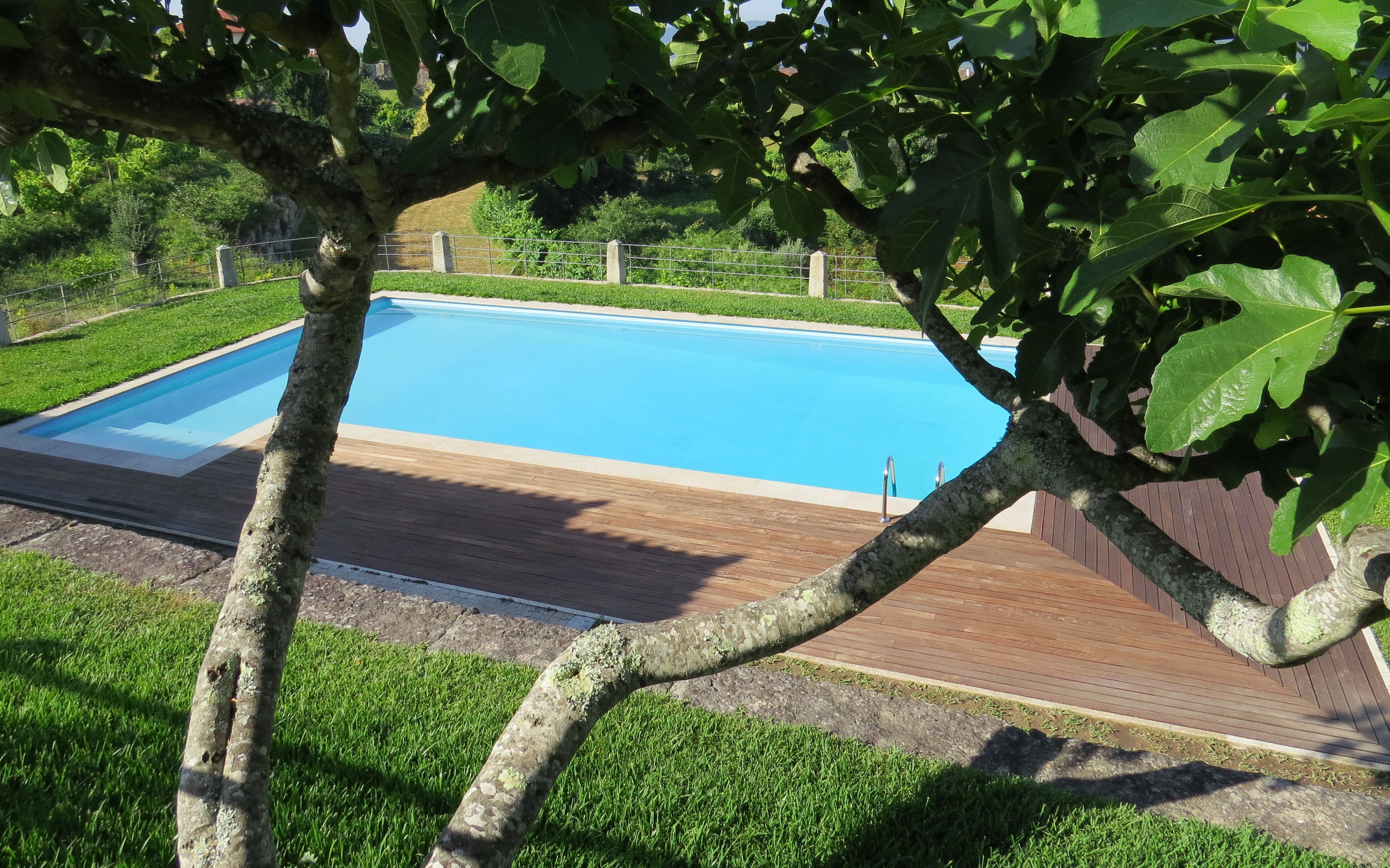 A rectangular swimming pool with a wooden deck surrounding it, set in a grassy area with trees.