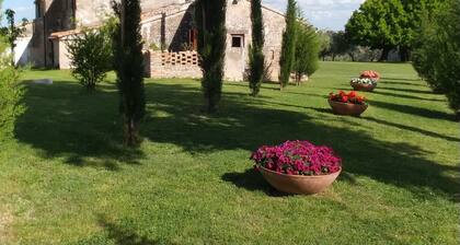 Casal Ferriano - Typical Marche farmhouse