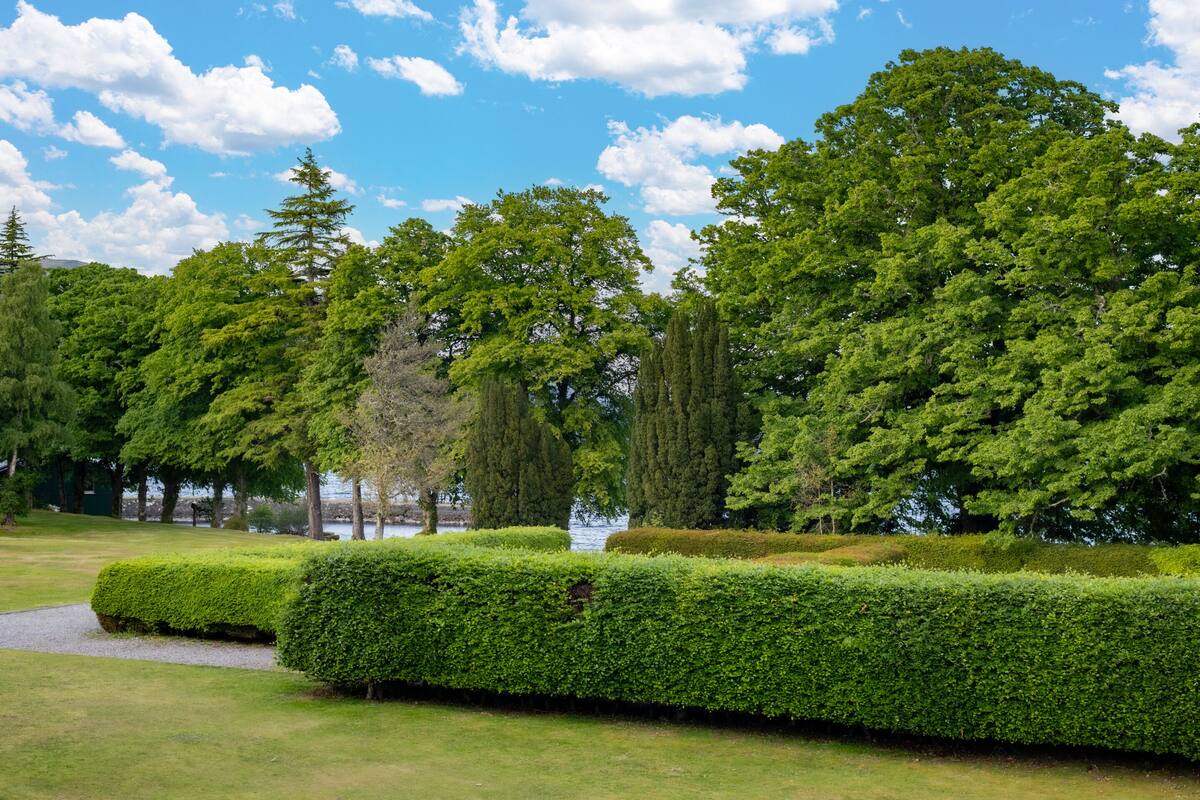 A well-maintained garden with neatly trimmed hedges, a variety of trees, and a clear sky.