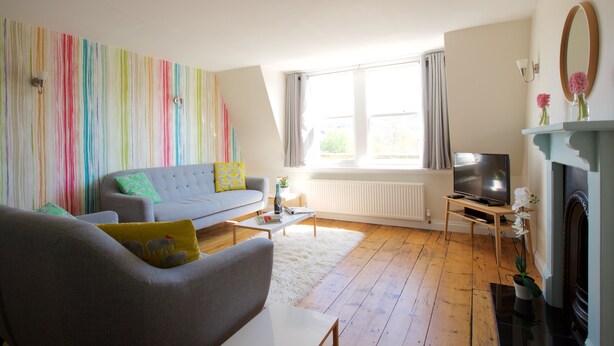A living room with a sofa, a coffee table, a television, and a fireplace. - Gorgeous, peaceful & very central apartment with fabulous views. (Bath)