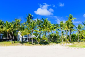 A beach with palm trees, a white building, and beach chairs.