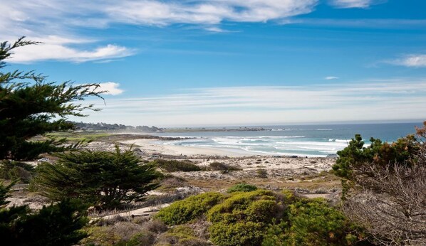 Beach - Sunset Drive - Pacific Grove House - Spacious Oceanview, Across the Street from Asilomar Beach (Pacific Grove)