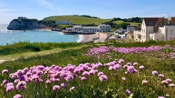 A coastal town with a prominent cliff, a beach, and a field of purple flowers. - Breathtaking Ocean Views,  Luxury Beachside Apartment, Freshwater Bay -  AONB (Freshwater Bay)