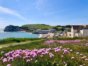 A coastal town with a prominent cliff, a beach, and a field of purple flowers. - Breathtaking Ocean Views,  Luxury Beachside Apartment, Freshwater Bay -  AONB (Freshwater Bay)