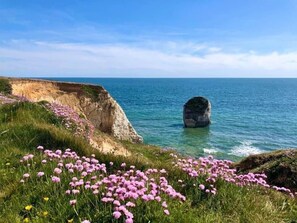 Beach nearby - Breathtaking Ocean Views,  Luxury Beachside Apartment, Freshwater Bay -  AONB (Freshwater Bay)