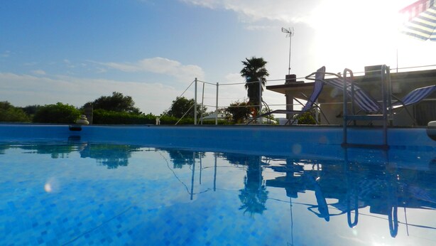 A swimming pool with clear blue water, a palm tree, and a sunshade structure.