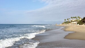 Une plage avec des vagues, un ciel dégagé et des palmiers.