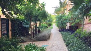 Un sentier bordé d’une végétation luxuriante et un bâtiment à la façade recouverte de tuiles.