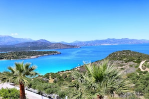 Eine Küstenlandschaft mit blauem Meer, grünen Hügeln und Palmen.