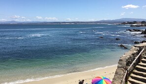 Beach - Cannery Row Cottage - Pacific Grove House - Walk to the Aquarium (Pacific Grove)