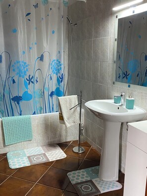 Combined shower/tub, hair dryer, bidet, towels