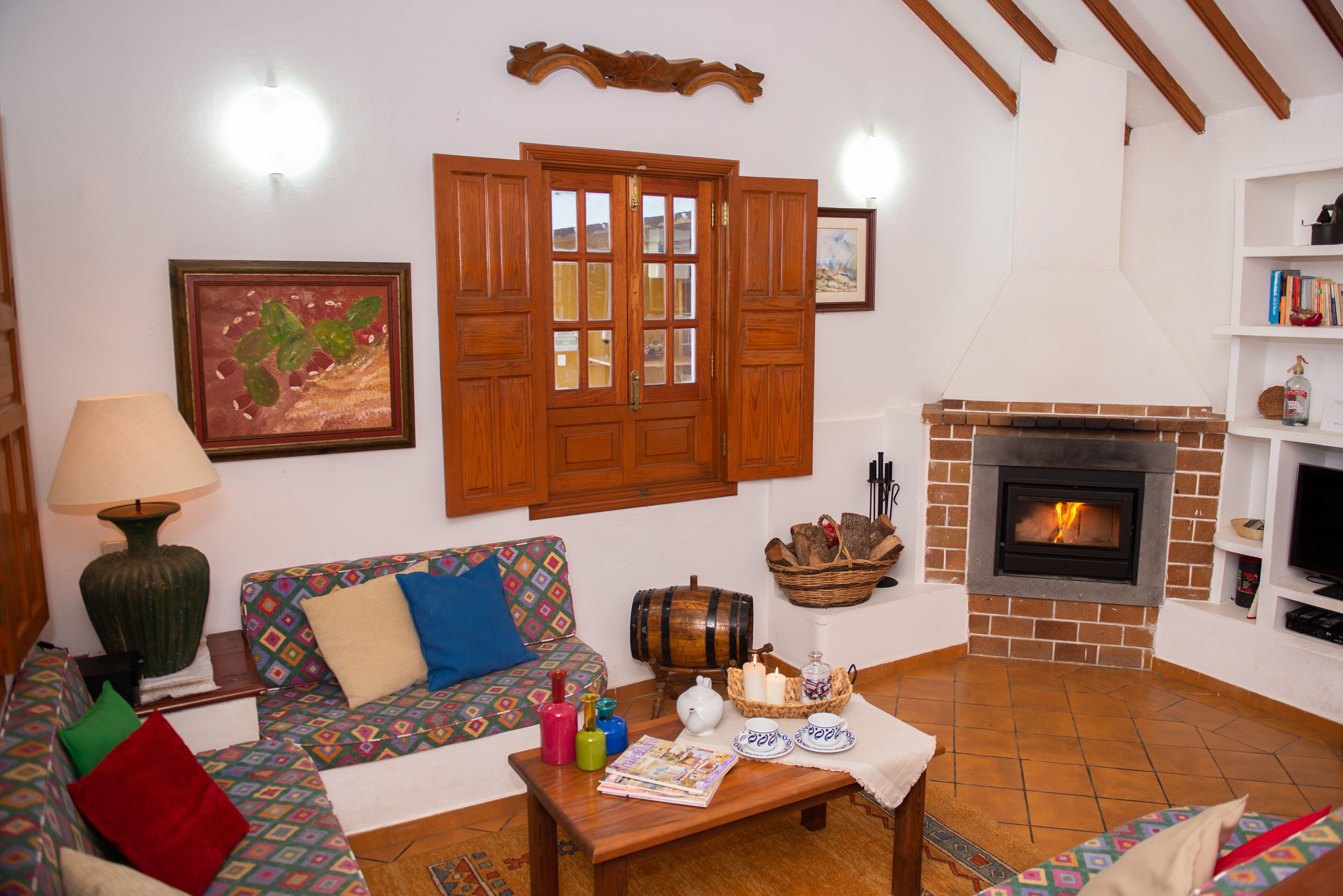 Smart TV, fireplace, DVD player, books