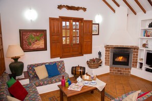 Smart TV, fireplace, DVD player, books