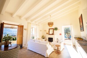 Smart TV, chimenea, libros y biblioteca musical