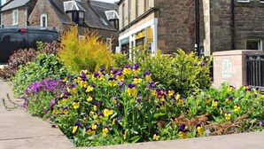 A residential street with houses, a parked car, and a flower bed with yellow and purple flowers. - A cute and cosy cottage, close to the train station. (dunblane)