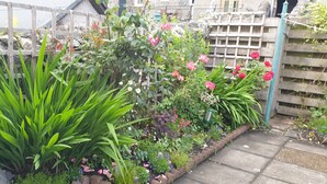 Een tuin met diverse planten en bloemen, een houten omheining en een pad van stenen.