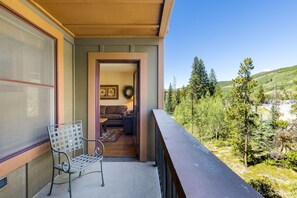 Property grounds - Walk to Lifts/Pool and Hot Tub Access/Private Patio (Keystone)