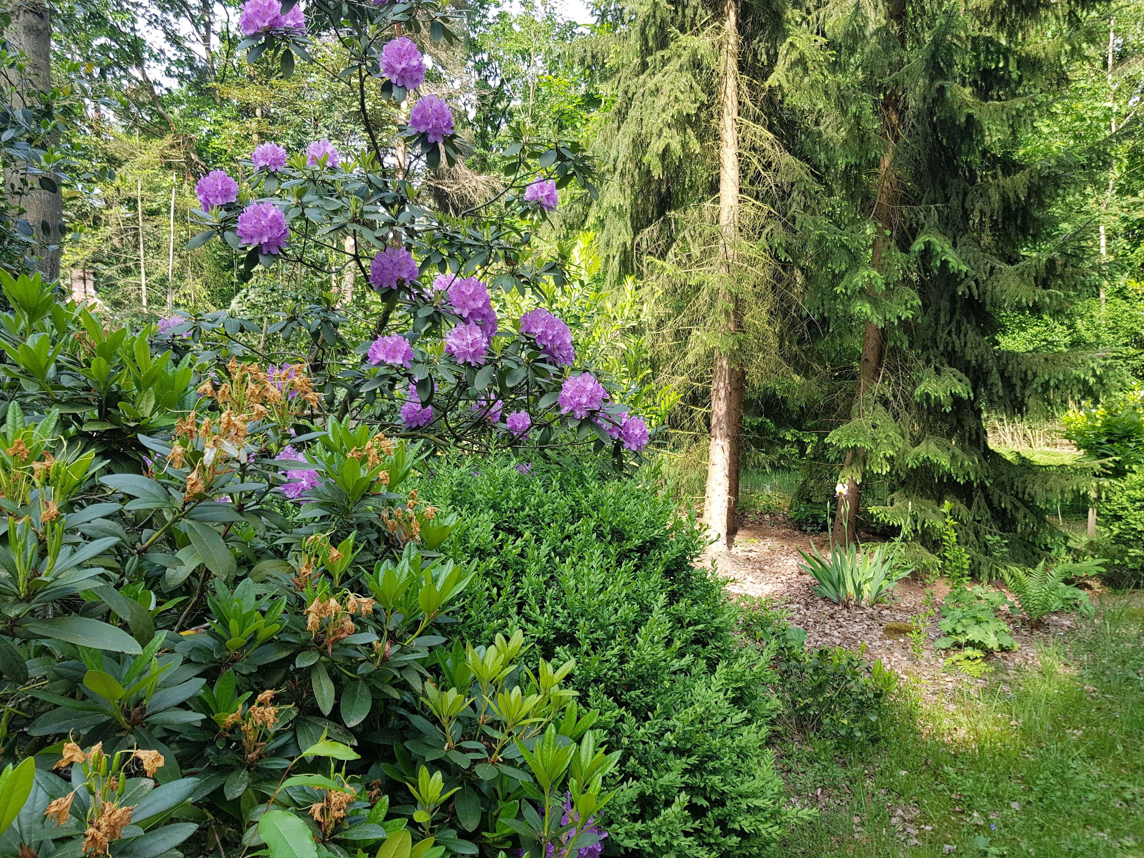 Terrein van de accommodatie