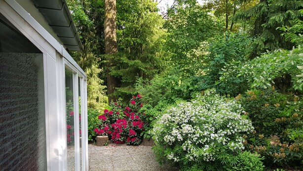 A garden pathway leading to a building with a white exterior and a gravel surface.