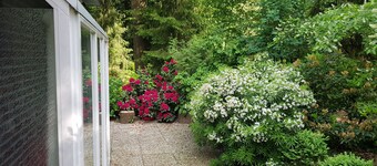 Detached luxury home with lots of privacy