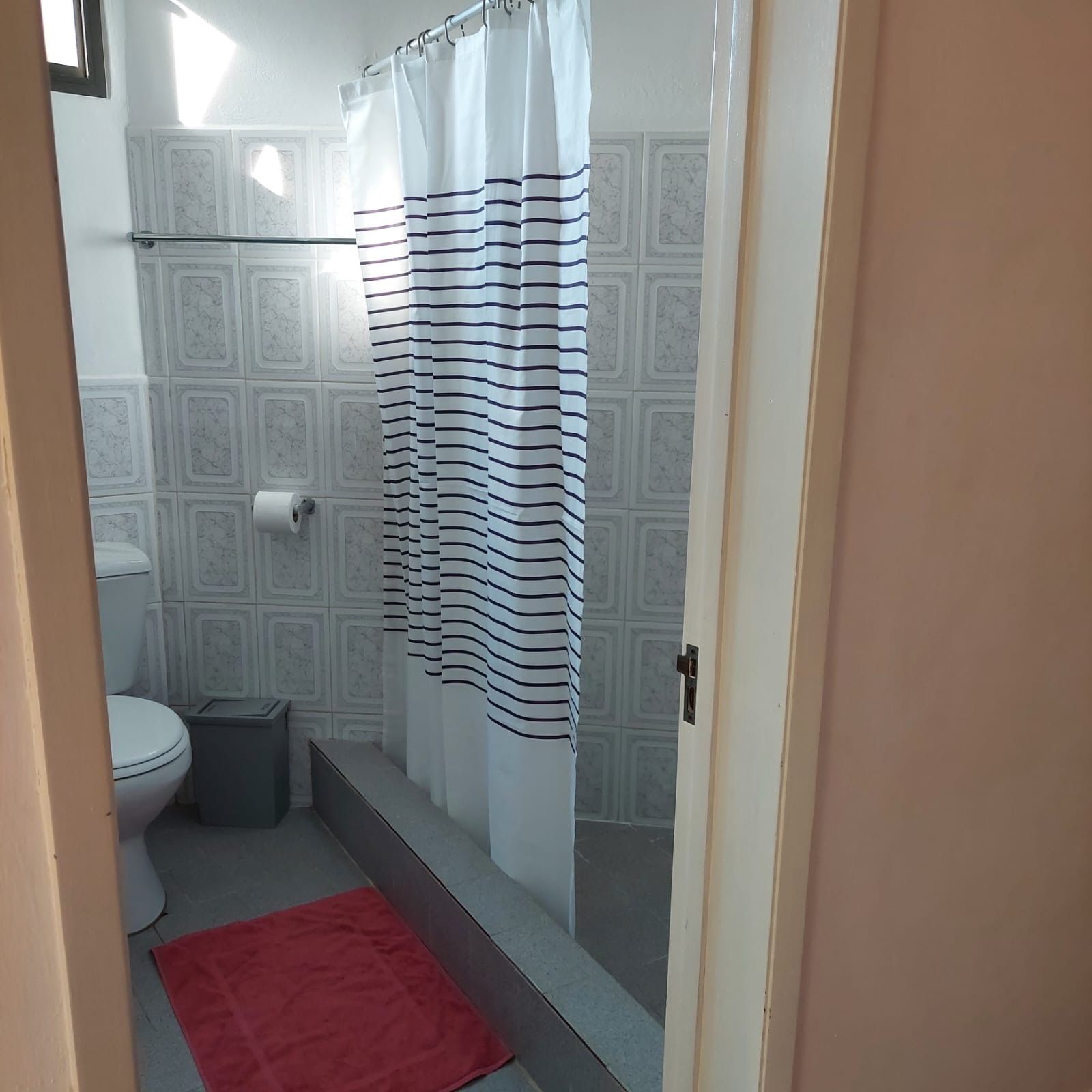 Un bagno con il water, una tenda da doccia e un tappeto rosso.