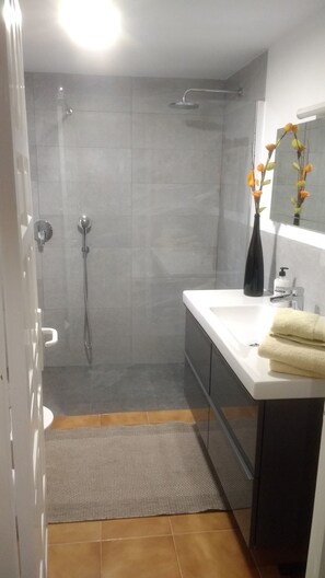 Combined shower/bathtub, hair dryer, bidet, towels