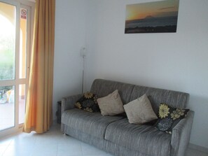 TV, DVD player, books, video library