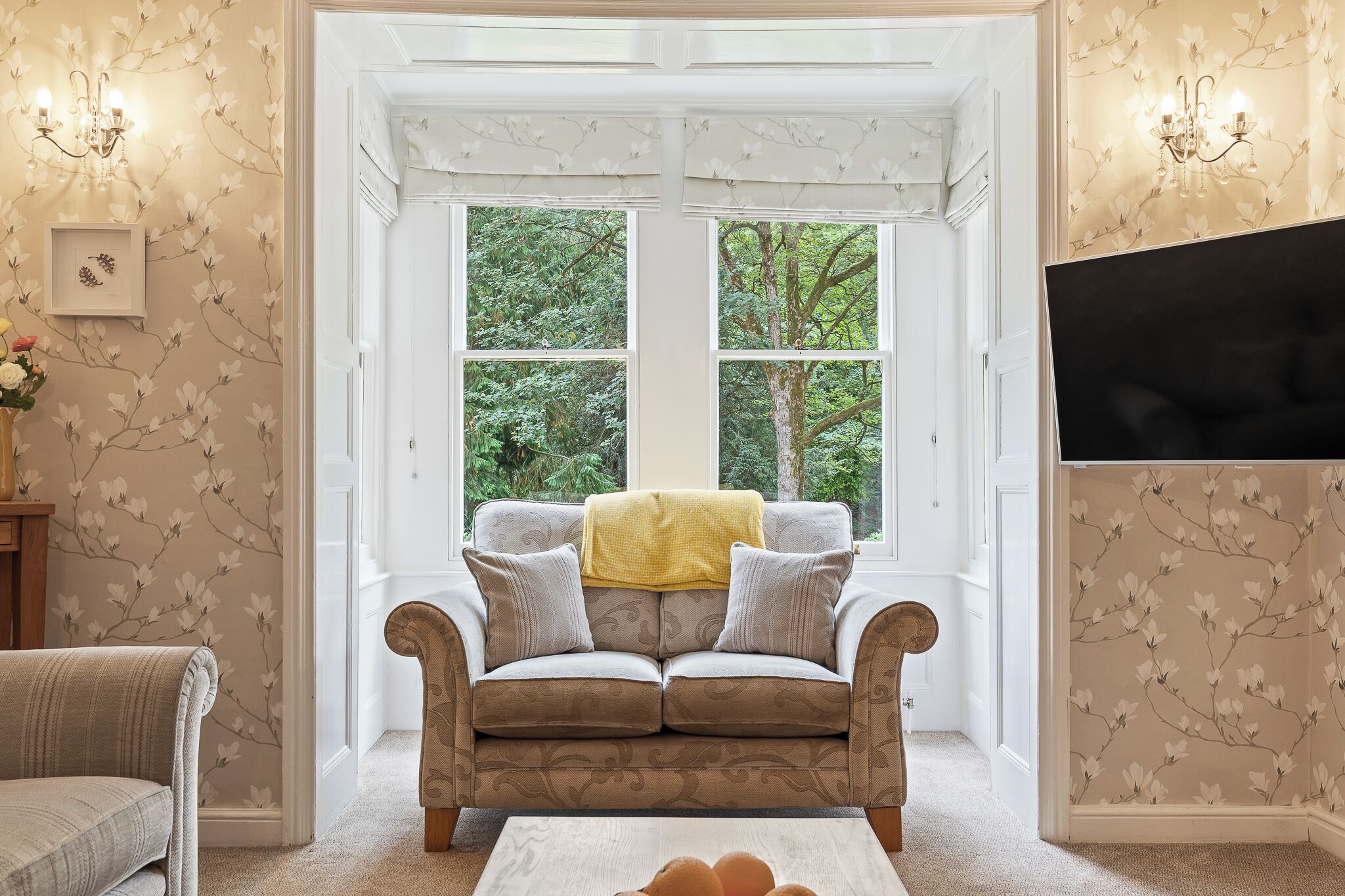 Smart TV, fireplace, DVD player, books