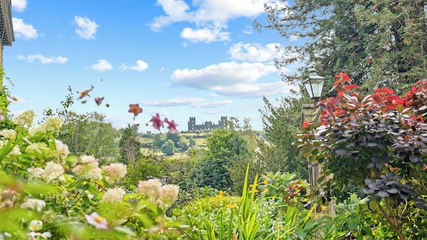 A lush garden with various plants and flowers, a stone building in the background, and a clear blue sky.