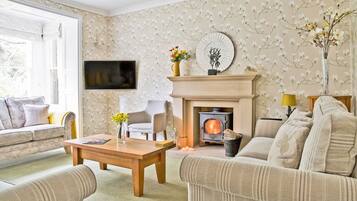 Smart TV, fireplace, DVD player, books