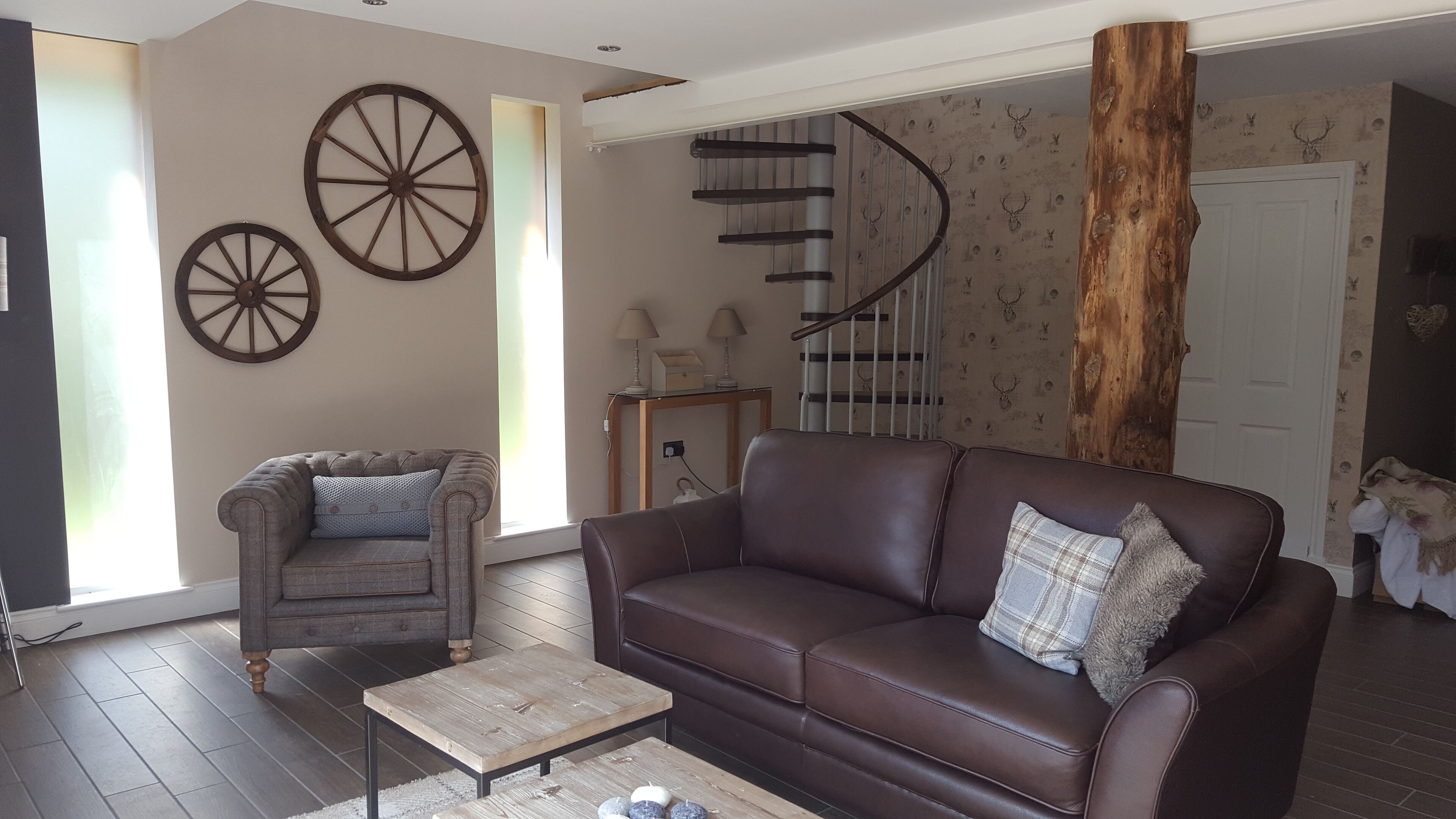 Télévision, cheminée, lecteur de DVD, livres